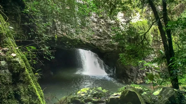 Puente natural en el parque nacional springbrook, qld —  Fotos de Stock