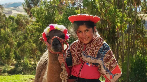 OLLANTAYTAMBO, PERU-MAGGIO, 17, 2016: una ragazza peruviana posa con un lama vicino ollantaytambo — Foto Stock