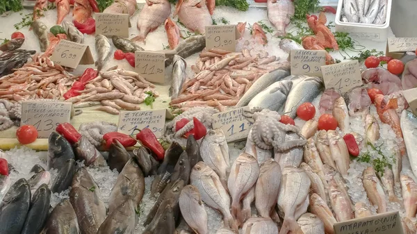 Een verscheidenheid aan visgerechten op de centrale markt van Athene — Stockfoto