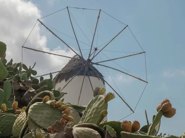 Gamla väderkvarn på den grekiska ön Mykonos med kaktus — Stockfoto