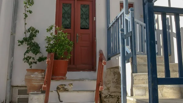 Wide Shot av en katt på hus steg i Mykonos, Grekland — Stockfoto