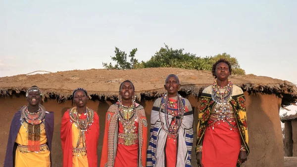 maasai mara yakınlarındaki bir köyde beş maasai kadın şarkı ve dans
