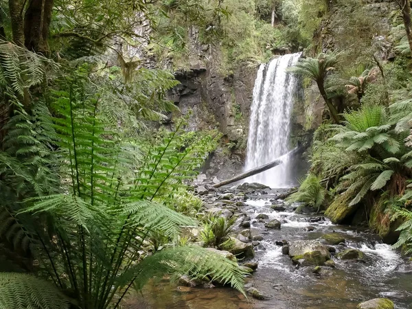 Hopetoun falls and a tree fern near the great ocean road in victoria — Stock Photo, Image