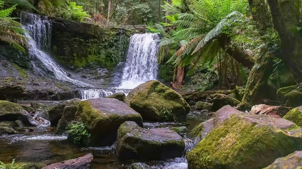 güzel at nalı mount alanında düşüyor, tazmanya
