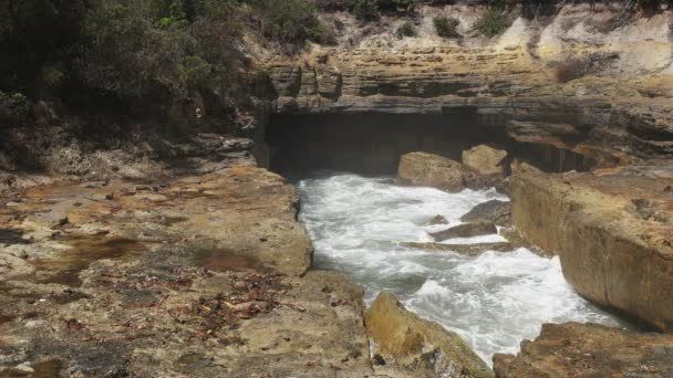 Eine Welle kracht in das Blasloch am Hals des Adlerfalken, Tasmania — Stockvideo