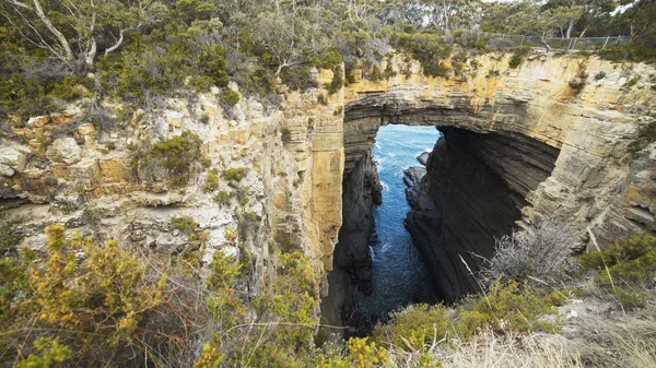 Eaglehawk boyun tasman kemer öğleden sonra çekim — Stok fotoğraf