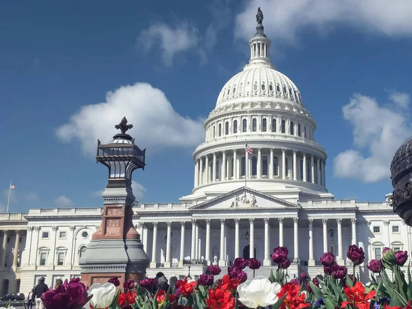 Capitol épület, virágok és szökőkút Washingtonban — Stock Fotó