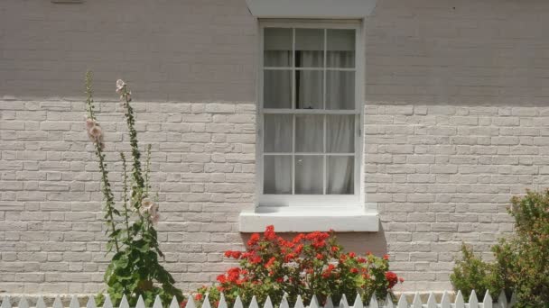 Close up of a cottage window at arthur circus in battery point, tasmania — Stock Video