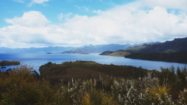 Amplia vista del pedal del lago inundado en Tasmania — Vídeos de Stock