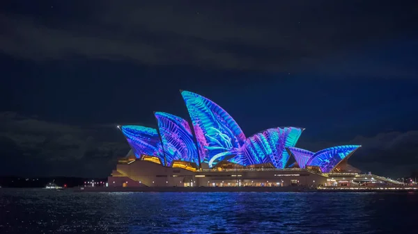 SYDNEY, AUSTRALIA - JUNE, 5, 2017: blue tentacles projected onto the sydney opera house for vivid 2017 — Stock Photo, Image