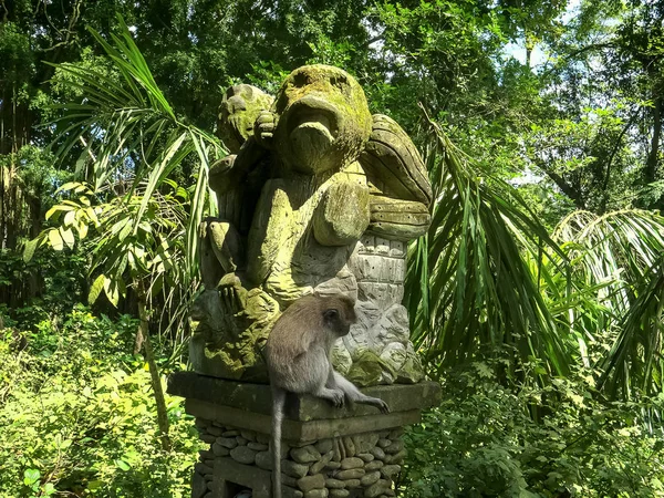 Low angle shot of a long-tailed macaque on a monkey statue in bali — Stock Photo, Image