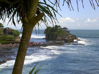 Tanah lot tapınağı Pandanus ağacı tarafından çerçevelenmiş.