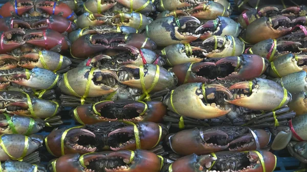 Σφηνάκι ζωντανών λασπωμένα καβούρια προς πώληση σε τραπέζι έξω από εστιατόριο στην Τσάιναταουν — Φωτογραφία Αρχείου