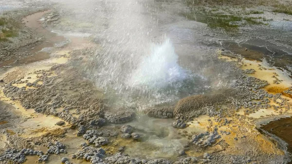 Anenome geyser borbulhando água quente em yellowstone — Fotografia de Stock