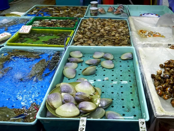 Levende mosselen te koop bij chun yueng markt — Stockfoto