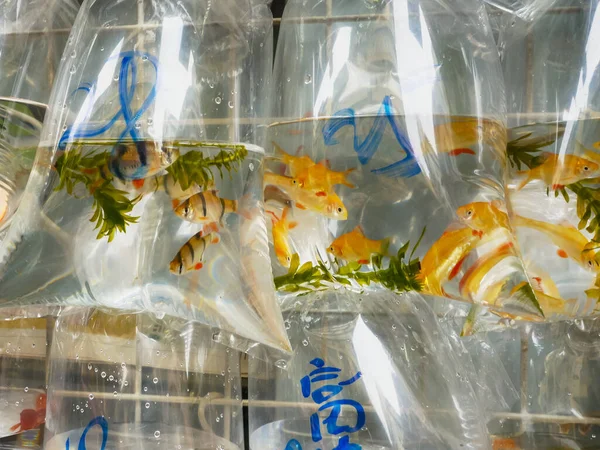 Close-up van plastic zakken met tropische vis op de markt voor mongkok — Stockfoto