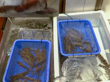 Hong Kong 'daki fa yuen pazarında canlı karidesler satılıyor.