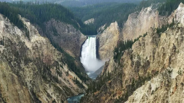 A view of lower falls from artist point in yellowstone — Stock Photo, Image