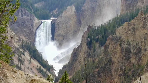 Afternoon close up of lower falls from artist point in yellowstone — Stock Photo, Image