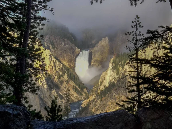 Lower falls framed by trees on a foggy morning in yellowstone — Stock Photo, Image