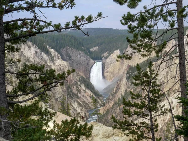 Wide shot of lower yellowstone falls framed by trees at artist point — Stock Photo, Image