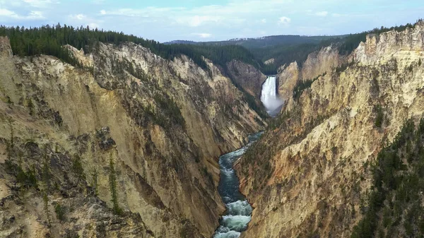 Lower yellowstone falls as seen from artist point in yellowstone — Stock Photo, Image