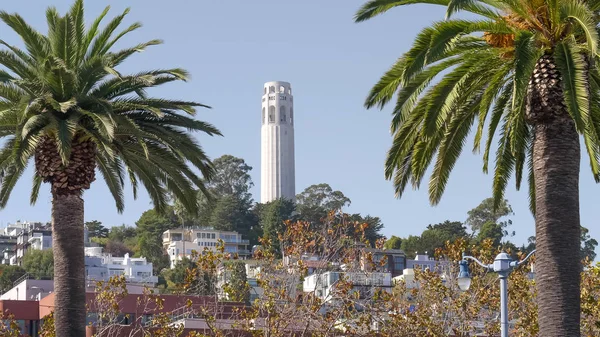 SAN FRANCISCO, CALIFORNIA, ESTADOS UNIDOS DE AMÉRICA - 26 DE OCTUBRE DE 2017: torre de coit enmarcada por palmeras — Foto de Stock