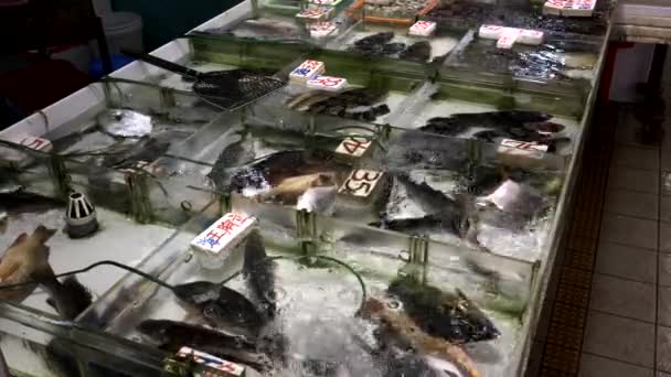 Живая столовая рыба на рынке Фа Юэн в Гонконге — стоковое видео