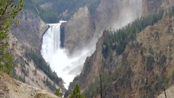 Namiddag close-up van lagere watervallen van kunstenaar punt in yellowstone — Stockvideo