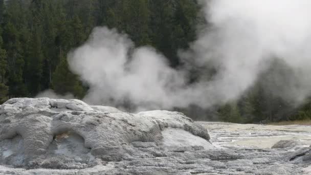 Panning right shot of grotto geyser in yellowstone national park — Stock Video