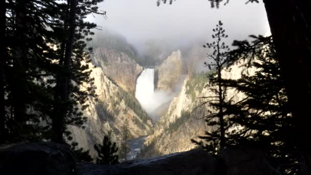 Низкие водопады обрамлены деревьями туманным утром в желтом камне — стоковое видео