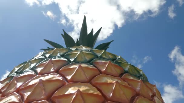 NAMBOUR, AUSTRALIA - 23 NOVEMBRE 2017: angolo basso close shot del grande ananas al nambour nel Queensland — Video Stock
