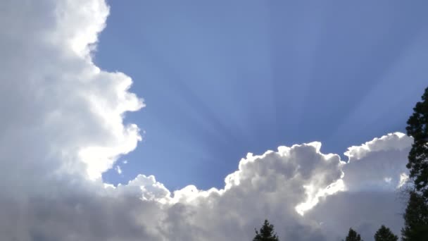 Nubes de tormenta y rayos de sol en yellowstone — Vídeos de Stock