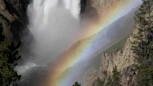 A base do amarelo inferior cai e um arco-íris em yellowstone — Vídeo de Stock