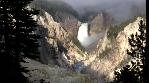 Cadute più basse su una mattina nebbiosa in yellowstone — Video Stock