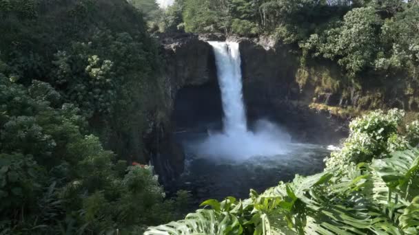 Shot of rainbow falls in hilo on the big island of hawaii — Stock Video