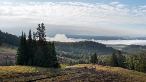 Time lapse bij Dunraven pass van de morgen mist en een schare van bomen in geelsteen — Stockvideo