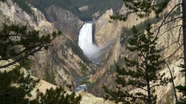 Vergrößern von niedrigeren Wasserfällen und Kiefern vom Artist Point in Yellowstone — Stockvideo