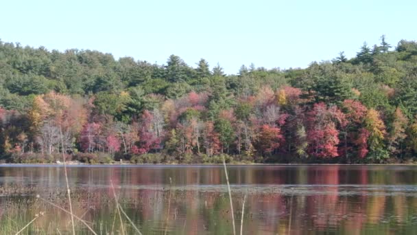 Panela de massasecum lago em novo hampshire durante a temporada de cores de outono — Vídeo de Stock