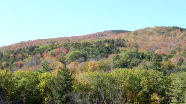 A hillside in newbury new hampshire covered with fall foliage — Stock Video