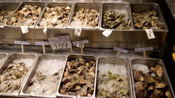 A variety of fresh oysters on ice for sale at a store in portland mn — Stock Video