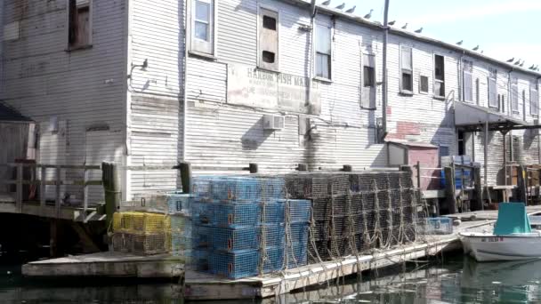 PORTLAND, MAINE, USA - OCTOBER, 19, 2017: lobster traps and warehouses on the waterfront of portland in maine — Stok Video