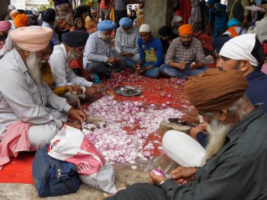 AMRITSAR, Hindistan - 18 Mart 2019: Golden Temple 'da soğan doğrayan gönüllüler