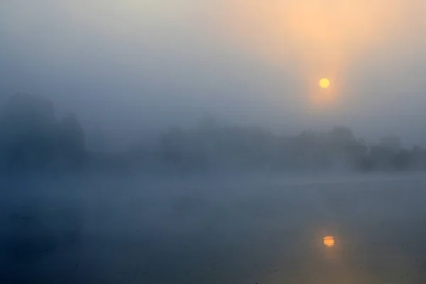 Ein Schöner Morgen Auf Einem Nebeldurchfluteten See — Stockfoto