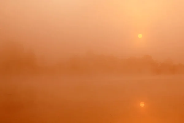 Прекрасное Утро Озере Наполненном Туманом — стоковое фото