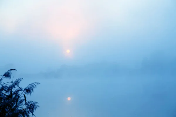 Uma Bela Manhã Lago Inundado Com Nevoeiro — Fotografia de Stock