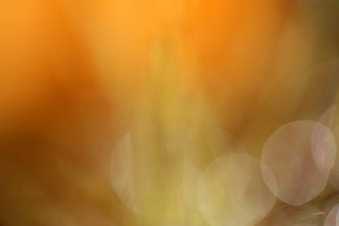 Bokeh ilginç renklerde arka plan