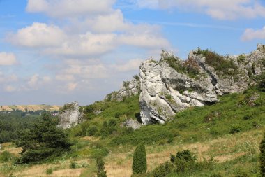 MIRW Castle Polonya içinde ve çevresinde