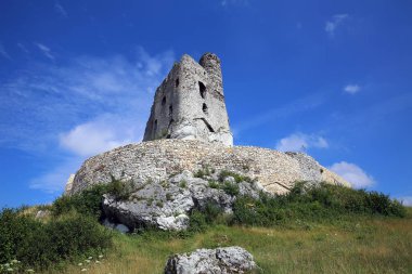 MIRW Castle Polonya içinde ve çevresinde