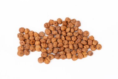 Beyaz arka planda kaplan.